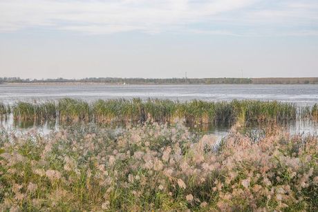 黄河湿地公园，探索黄河湿地公园