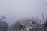 黄山旅游景点，你知道都有哪些