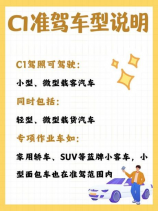 统计局长，统计局长回应2020年全国人口普查数据发布时间